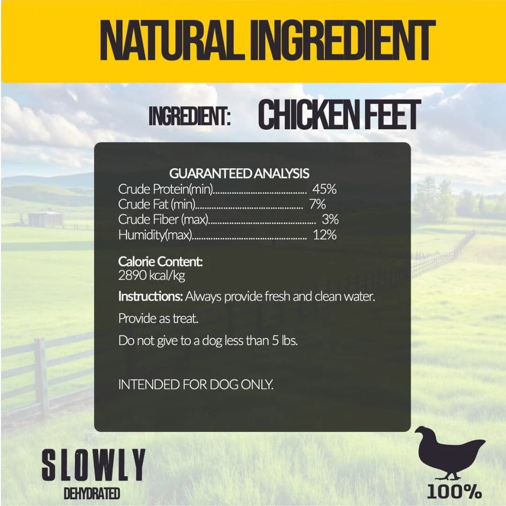 Sabrosos Chicken Feet Dog Treats Natural Dried Chicken  35 Pieces Jar